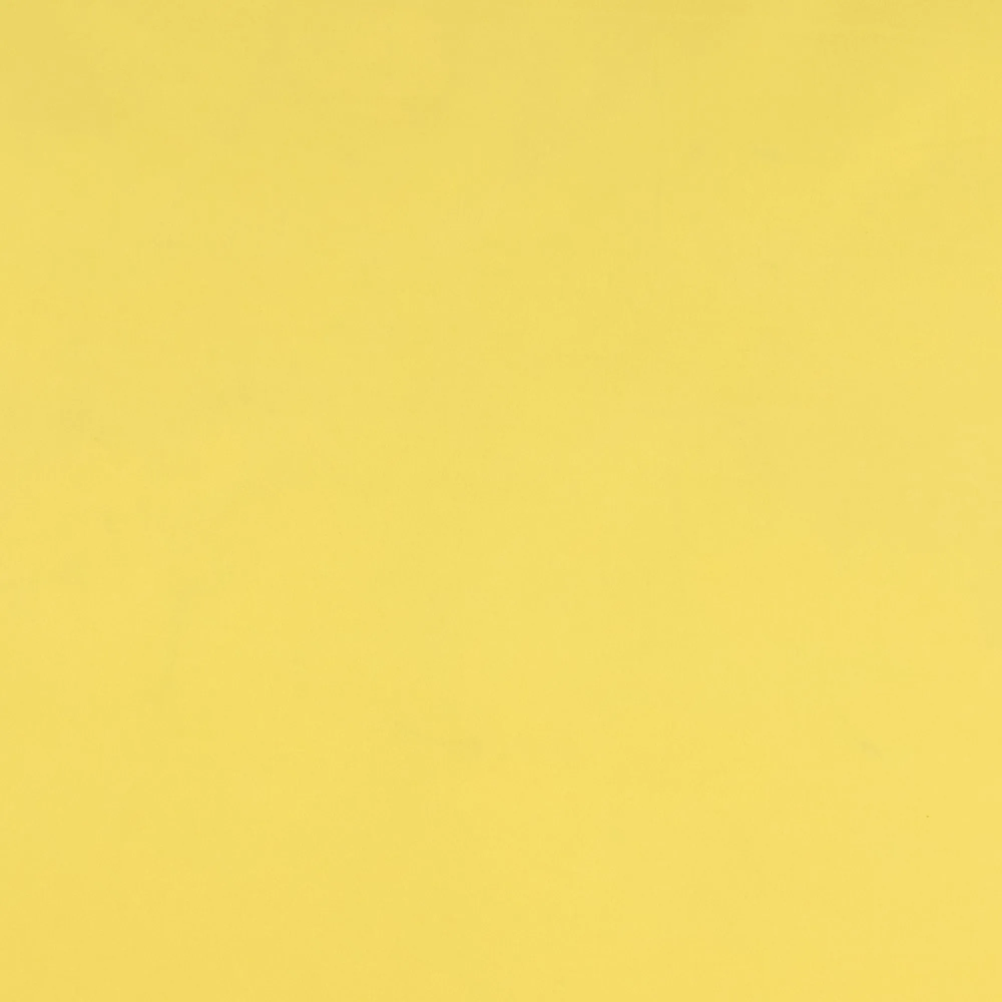 Basic Knit - BARCELONA - Yellow Cream